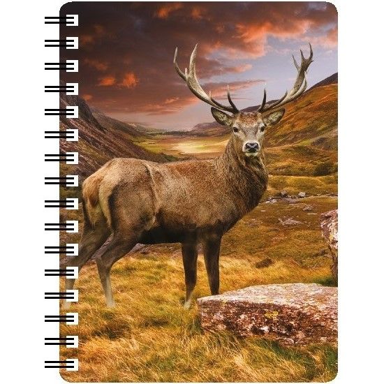 3D Notebooks
